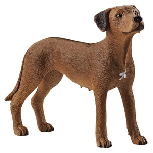 Schleich Dog Figurine Rhodesian Ridgeback