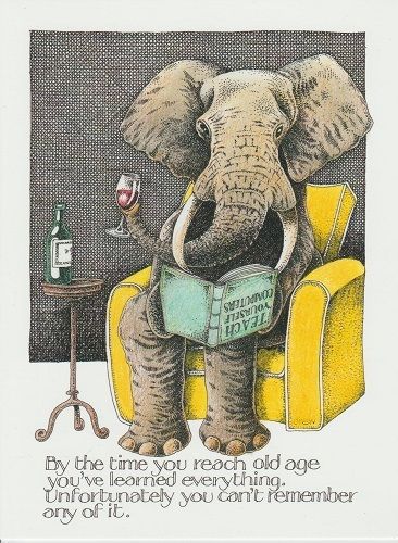 Simon Drew Greeting Card Old Elephant