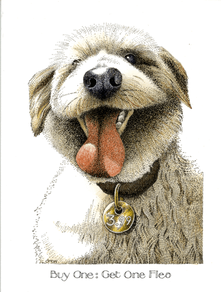 Simon Drew Greeting Card Buy One