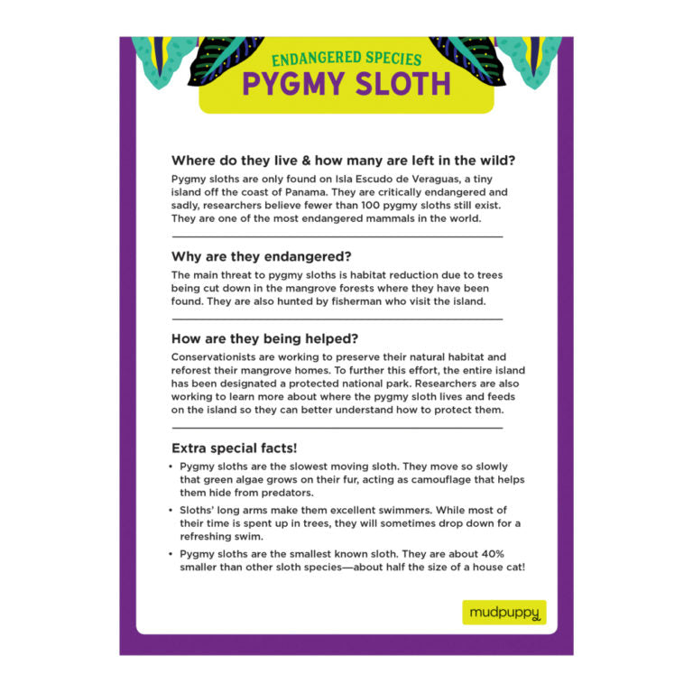 Mudpuppy 300pc Jigsaw Puzzle Endangered Species Pygmy Sloth