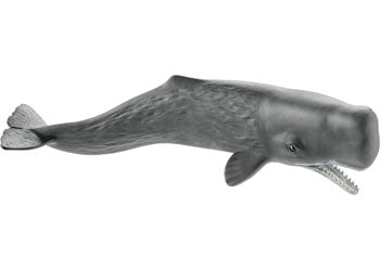 Schleich Whale Figurine Sperm Whale
