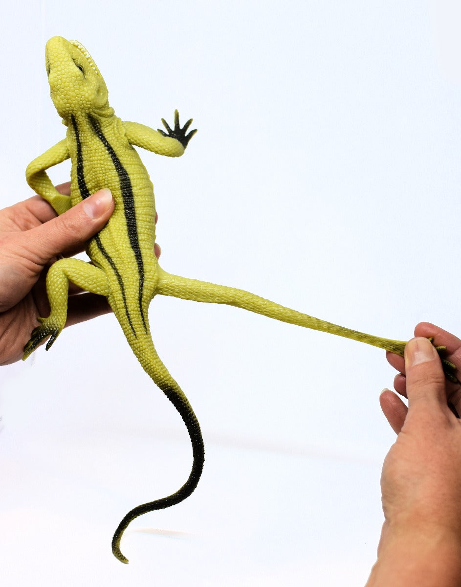 Stretchy Lizard Assorted Large Sensory Toy