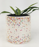 Planter Pot Confetti Colourful Small 12cm