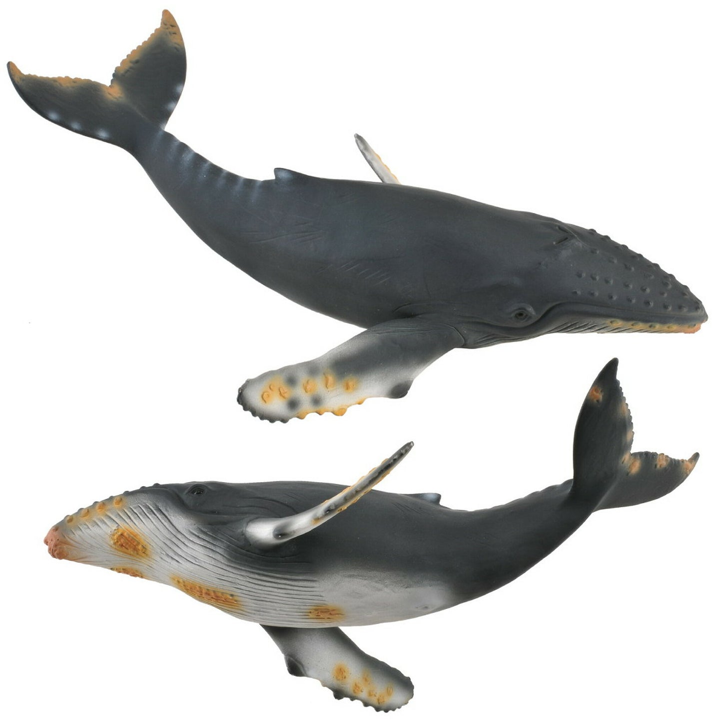 CollectA Whale Figurine Humpback Whale