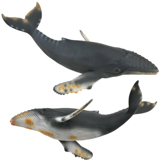 CollectA Whale Figurine Humpback Whale