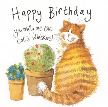 Alex Clark Greeting Card Whiskers Happy Birthday