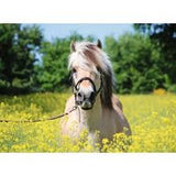 Ravensburger 500pc Jigsaw Puzzle White Horse